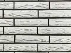 ������������ ������ �������� ����