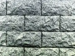 ������������ ������ ������