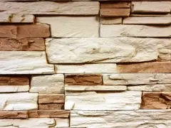 ������������ ������ ������