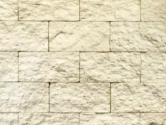 ������������ ������ ��������