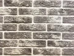 ������������ ������ ��������