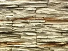 ������������ ������ �����